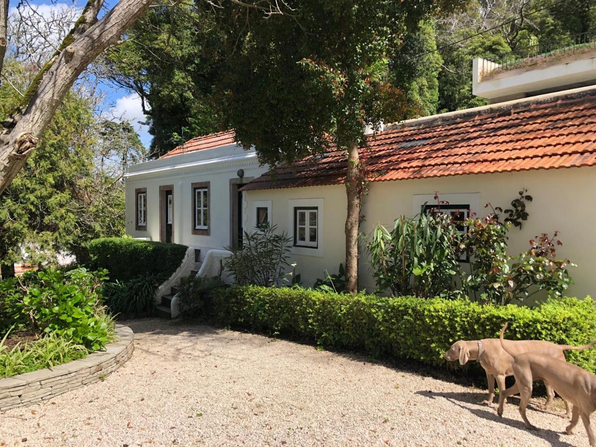 Luxurious Royal Estate In Historic Sintra Paradise Exterior photo